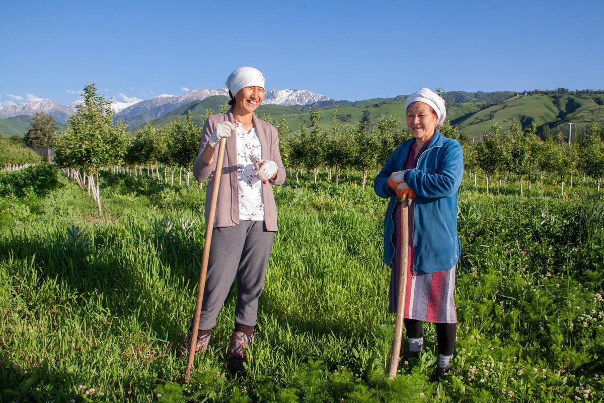 Financing the Future of Farming — Kazakhstan Strengthens Support for Agricultural Producers