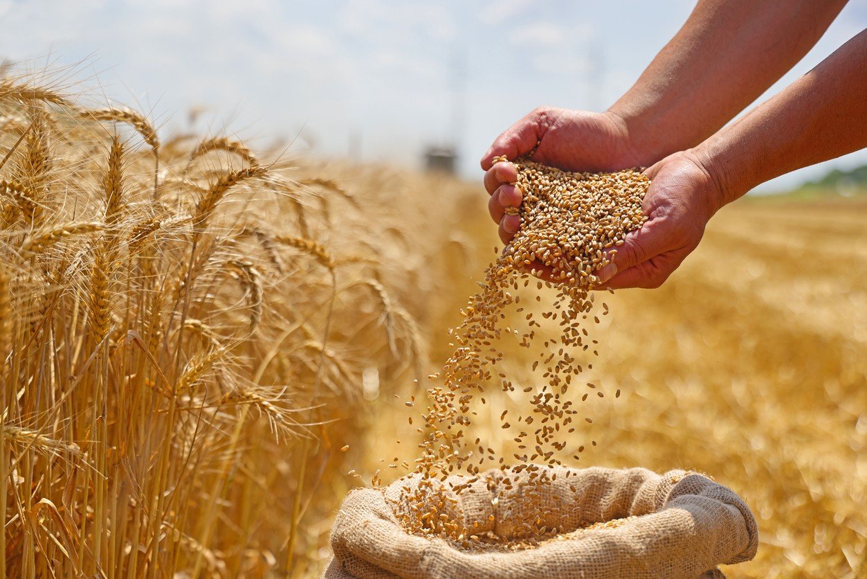 Financing the Future of Farming — Kazakhstan Strengthens Support for Agricultural Producers