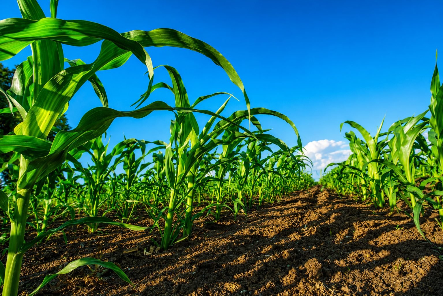 Financing the Future of Farming — Kazakhstan Strengthens Support for Agricultural Producers