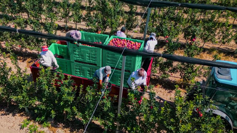 Financing the Future of Farming — Kazakhstan Strengthens Support for Agricultural Producers