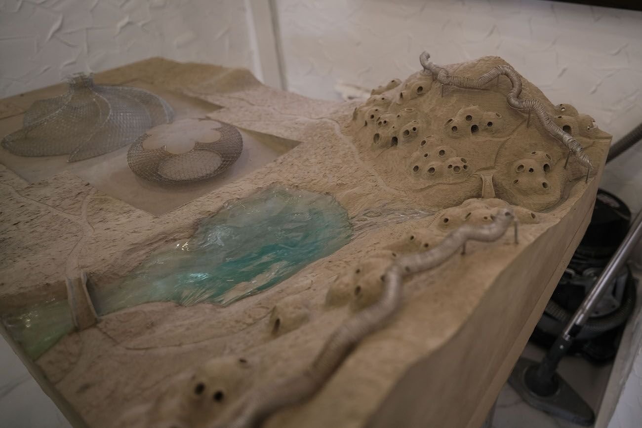 The Architectural Vision of Saken Naryn — Where Art, Space & Philosophy Converge
