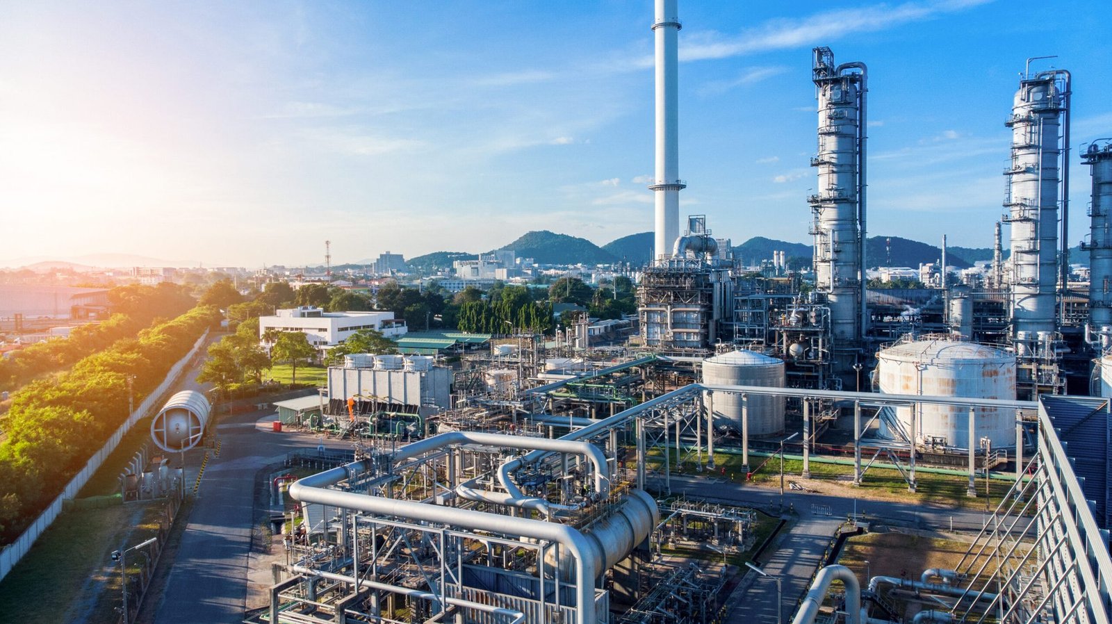Kazakhstan Strengthens Agro-Industrial Ambitions with Major Oilseed Processing Investments
