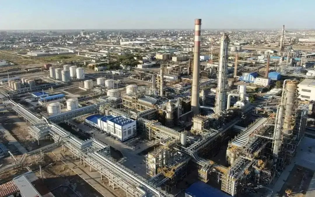 Kazakhstan Strengthens Agro-Industrial Ambitions with Major Oilseed Processing Investments