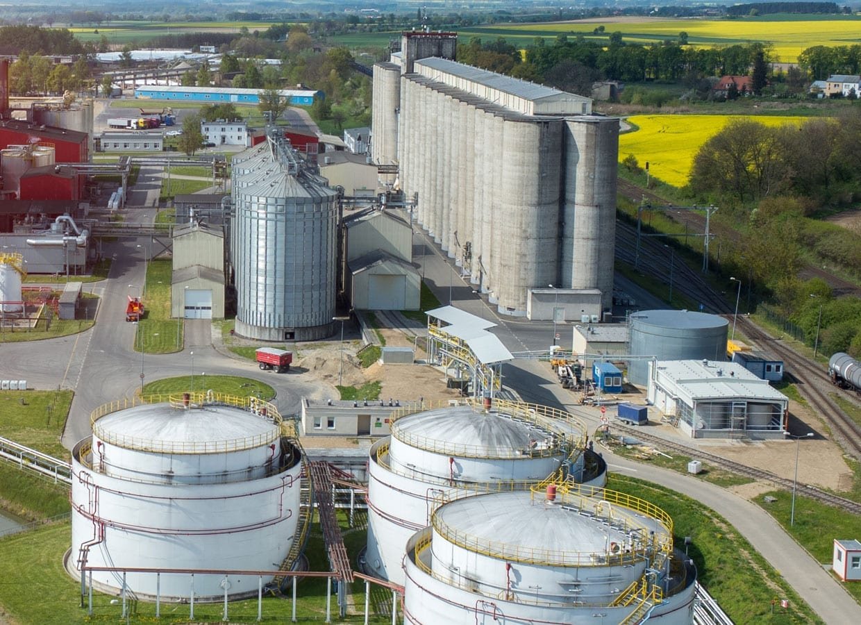 Kazakhstan Strengthens Agro-Industrial Ambitions with Major Oilseed Processing Investments