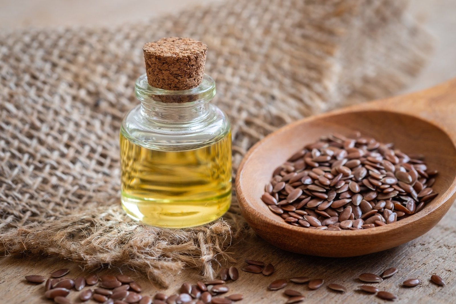 Kazakhstan Strengthens Agro-Industrial Ambitions with Major Oilseed Processing Investments