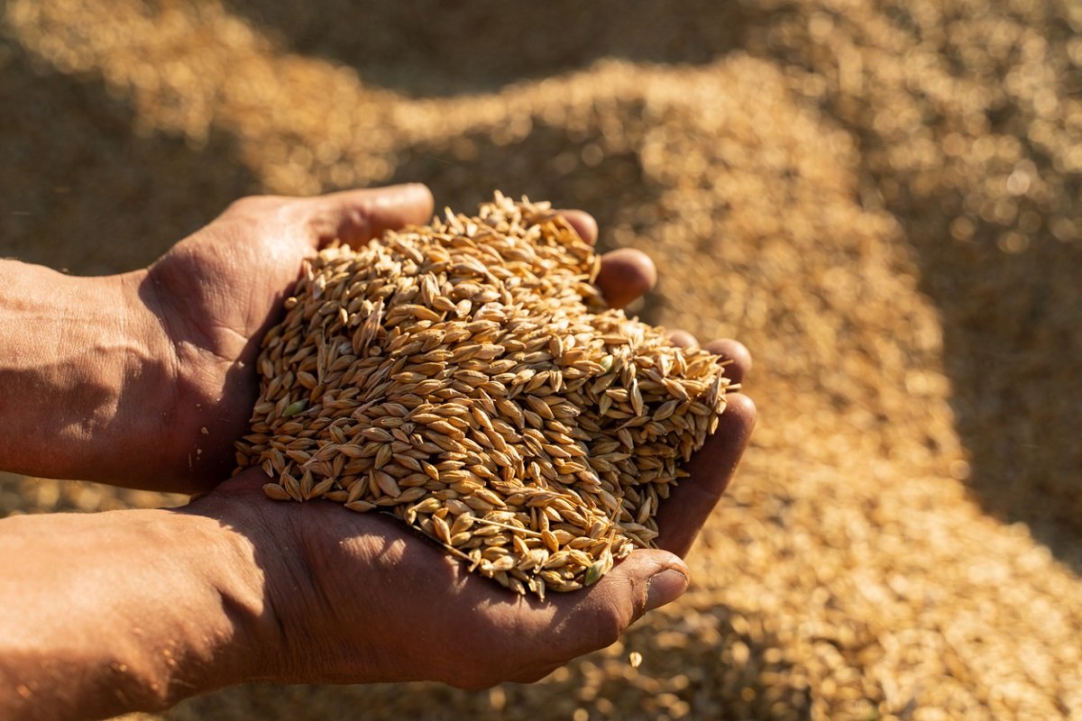 Preserving Biodiversity: Kazakhstan to Host International Genetic Bank