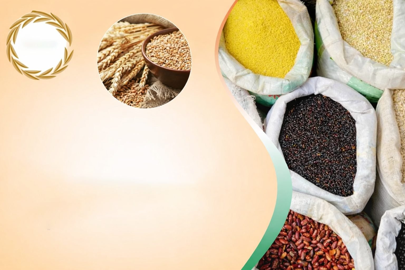 A Season of Abundance: Kazakhstan’s Record Grain & Oilseed Harvest