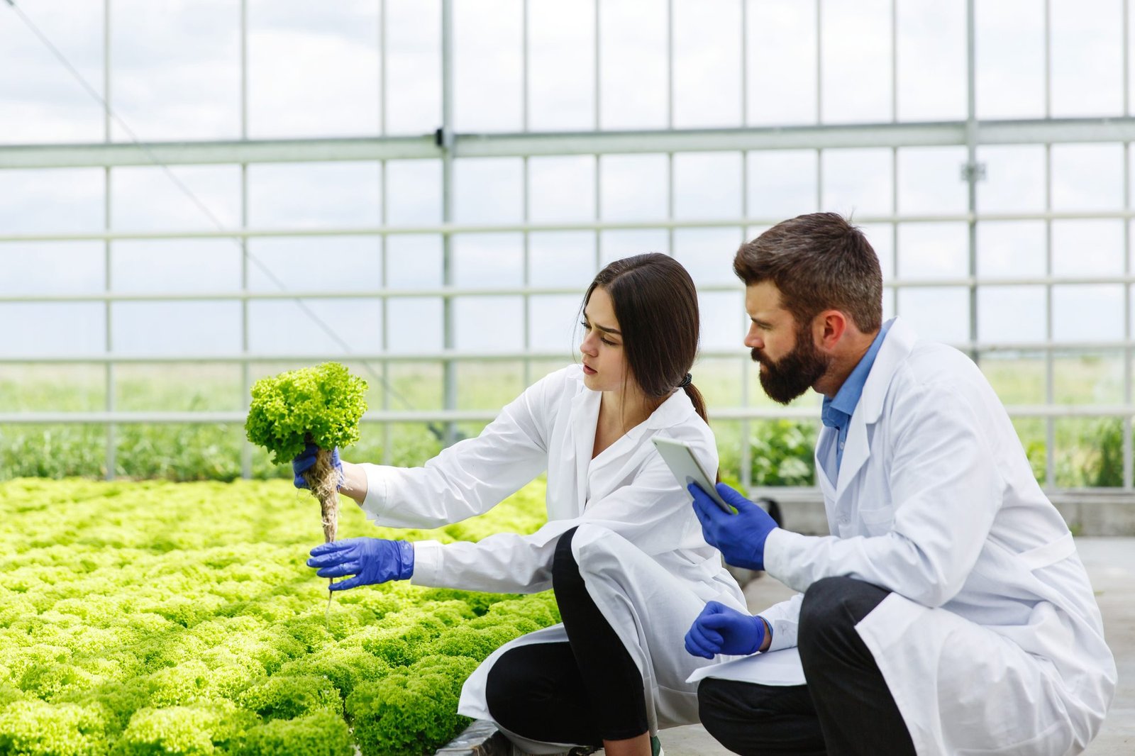Kazakhstan Unveils Vision for Central Asia’s Largest Agri-Tech Ecosystem