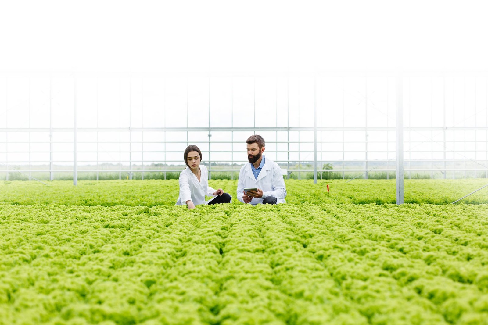 Kazakhstan Strengthens Agricultural Future With $150 Million High-Tech Greenhouse Initiative in Shymkent