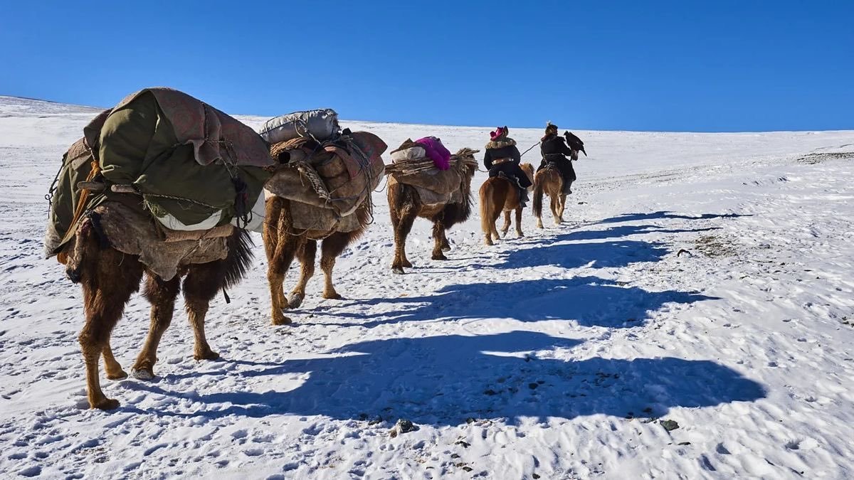 Yurts, Canyons & Camels: My Fascinating Kazakhstan Adventure