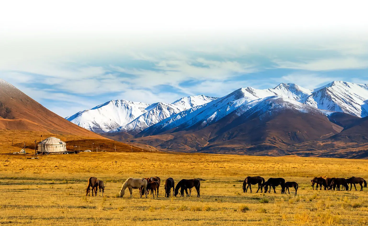 The Great Steppe